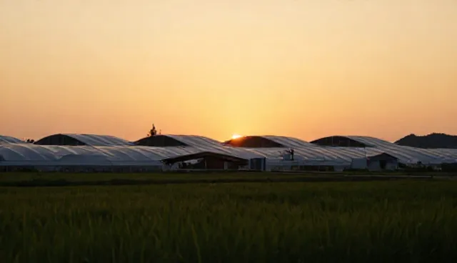 品牌建设全流程跟进:两种做法对比及实际选择